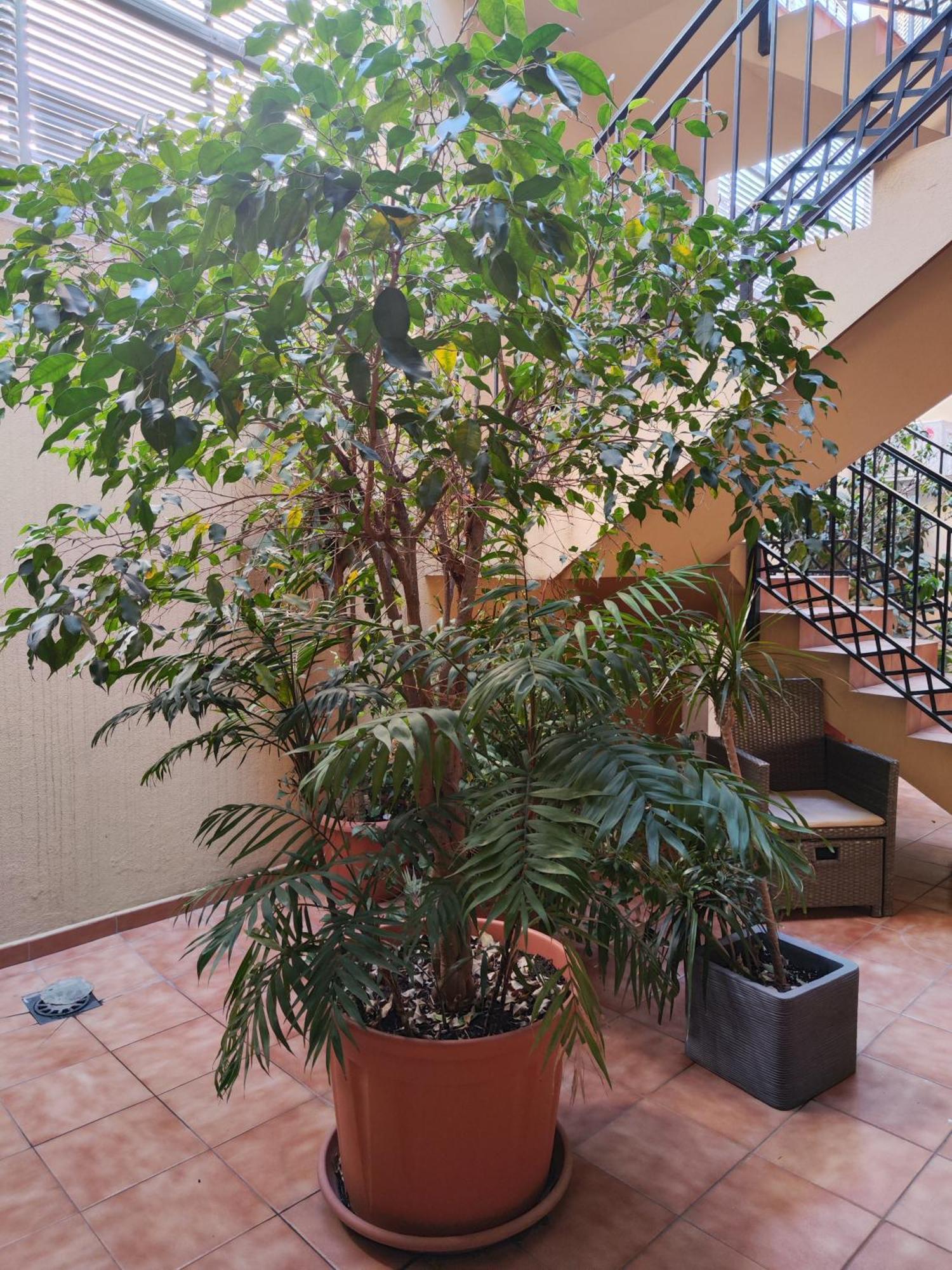 Apartamento Malaga Experience Exterior foto