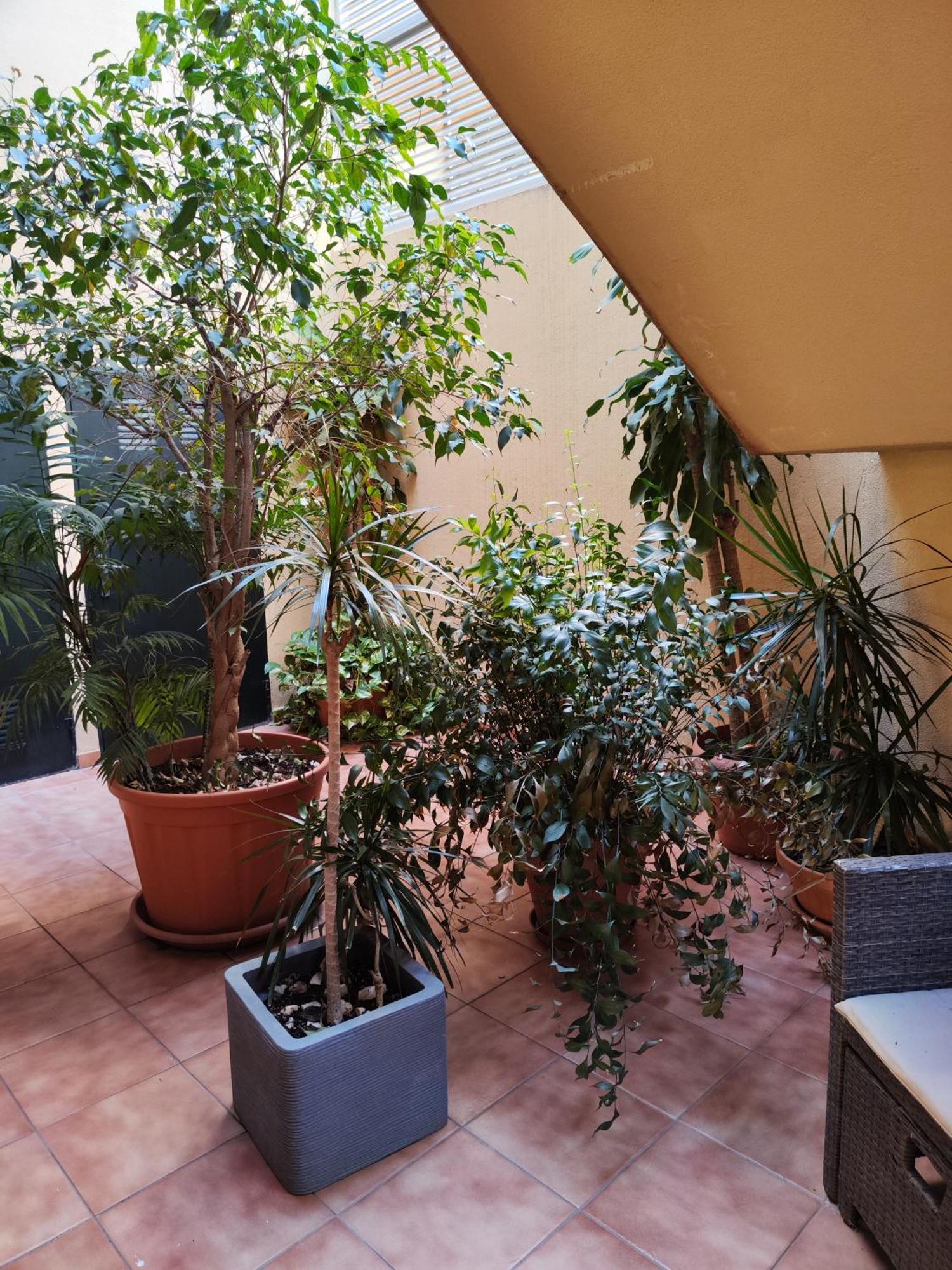 Apartamento Malaga Experience Exterior foto