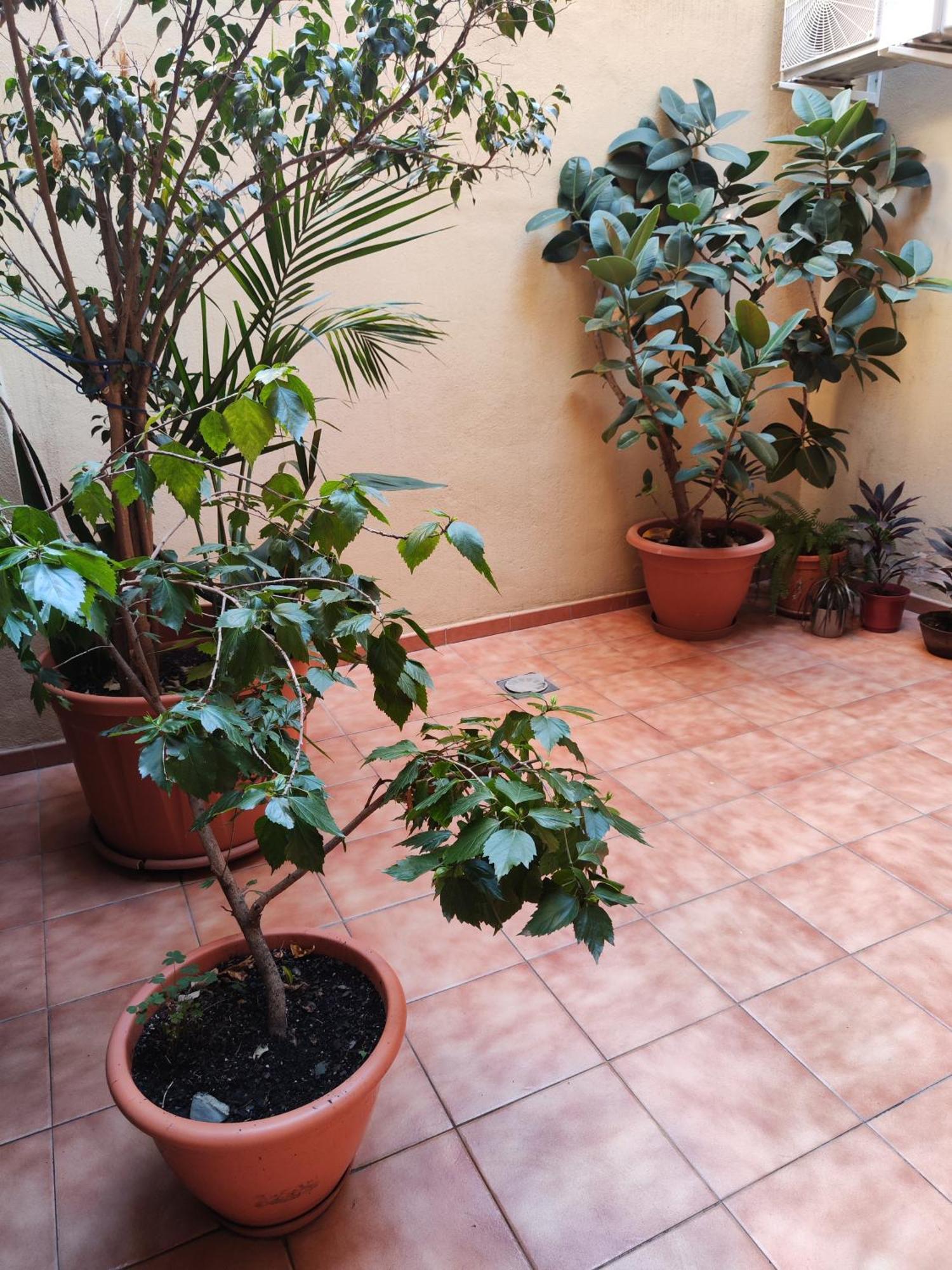 Apartamento Malaga Experience Exterior foto